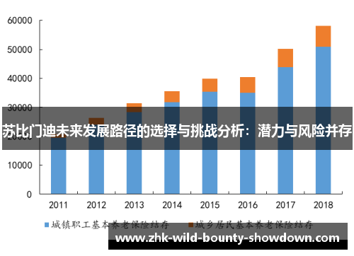 苏比门迪未来发展路径的选择与挑战分析：潜力与风险并存
