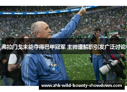 弗拉门戈未能夺得巴甲冠军 主帅遭解职引发广泛讨论 弗拉门戈未能夺得巴甲冠军 主帅遭解职引发广泛讨论